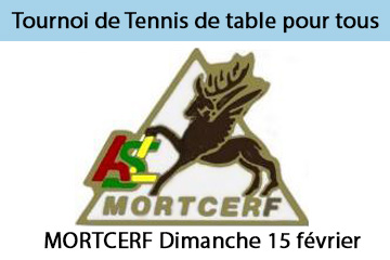 Tournoi de tennis de table à Mortcerf